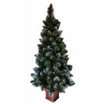 Ялина Європейська з інеєм 1,1 м у горщику з лози